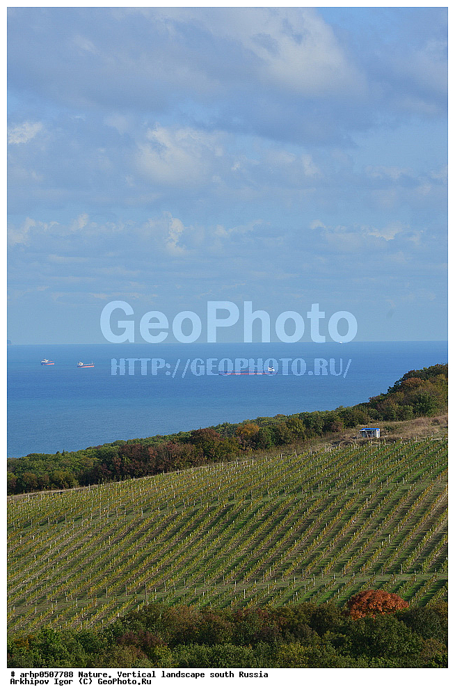 �������, ������������ �������, �������, �� ������