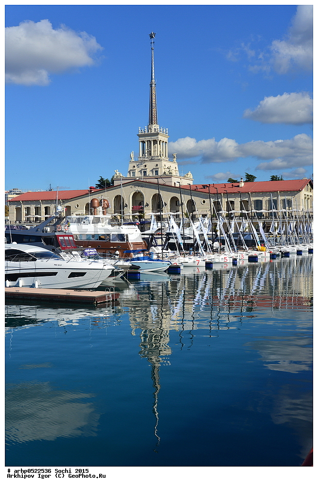 ����, 2015, �����������