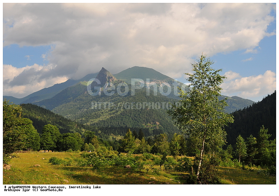 �������� ������, �����, ������������ �����, ������, ������