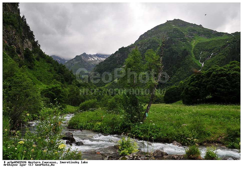 �������� ������, �����, ������������ �����, ������, ������