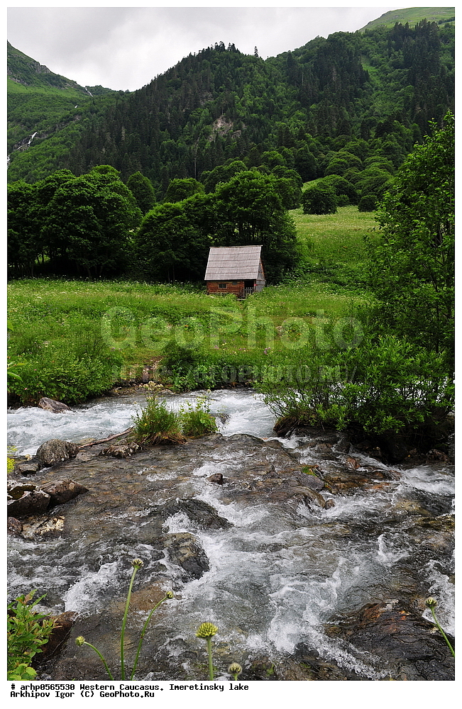 �������� ������, �����, ������������ �����, ������, ������