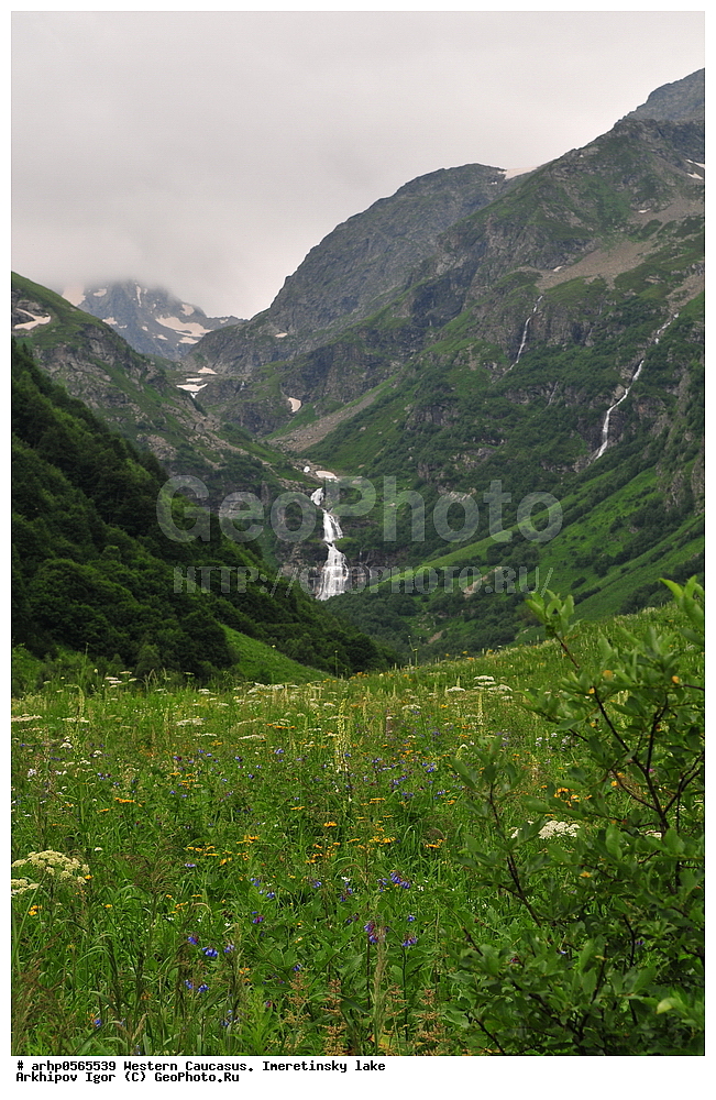 �������� ������, �����, ������������ �����, ������, ������