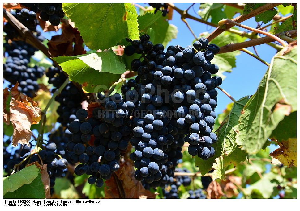 ����� ������� �������, ������, �����-�����, ����, �������������� �����, ������������� ����, ������