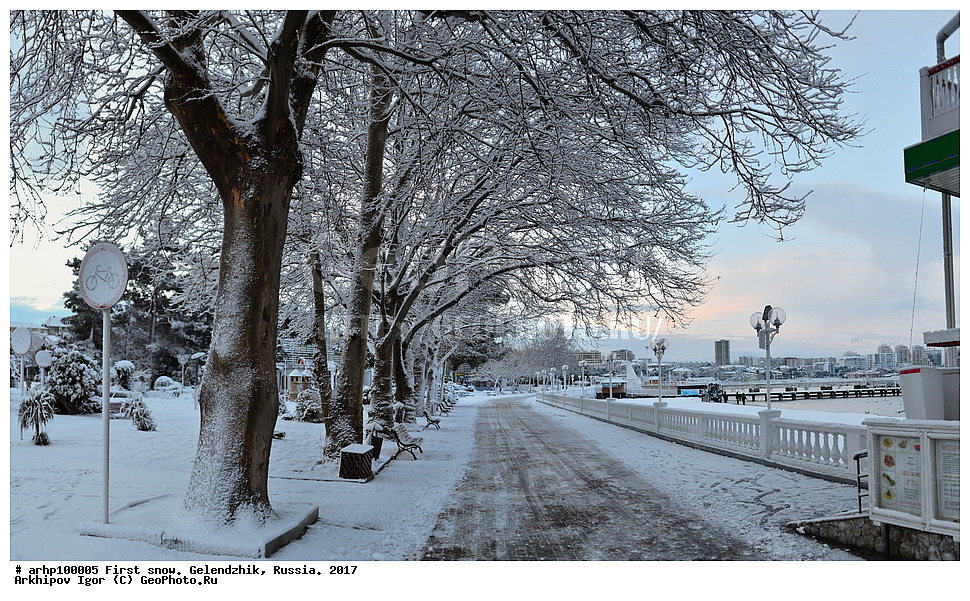 ������ ����, ���������, ������, 2017 ���, ����, ����, ������������� ����