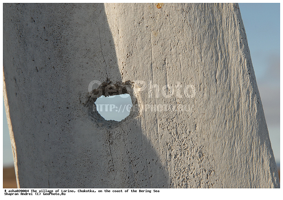 �������, ������, �������, ���������, ��������� ����