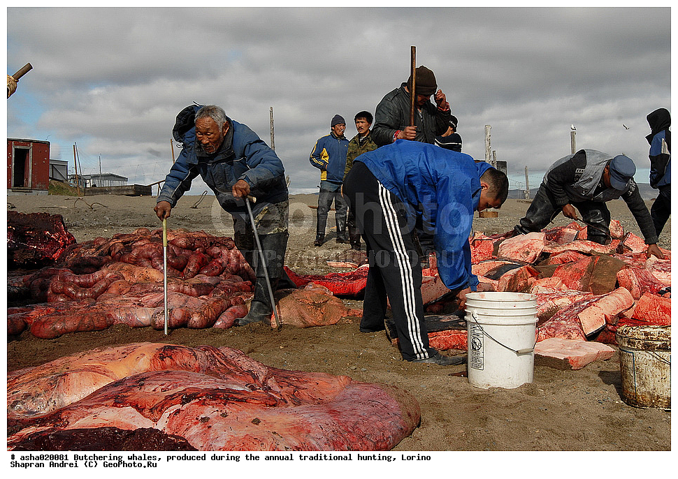 �������� , ��������� ����, ������ ������, �������, ������, ���, ���, �����, �����, ��������, ����, ��������