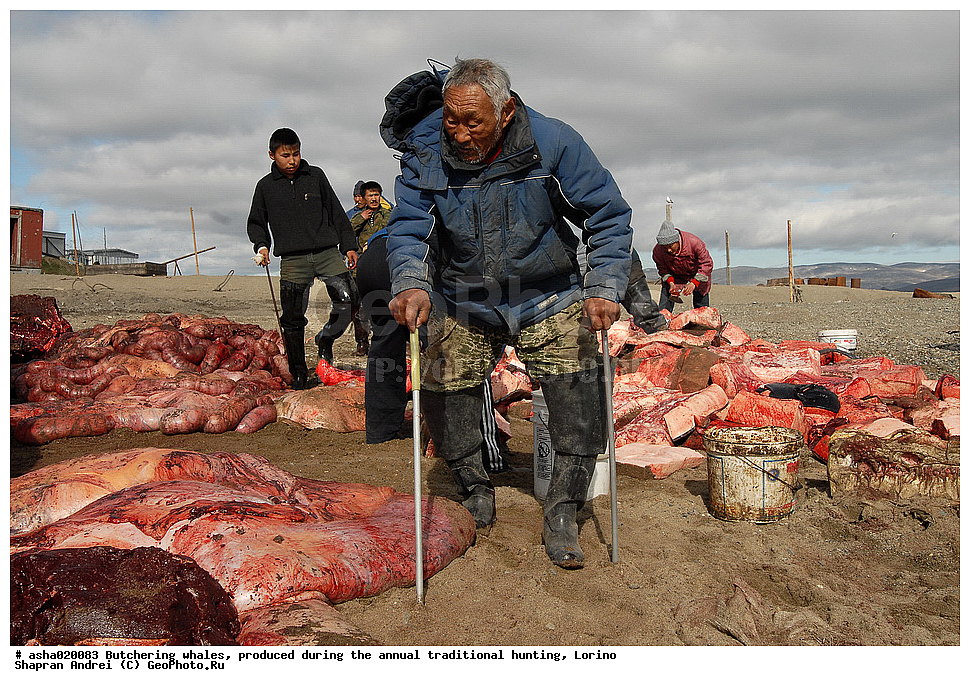 �������� , ��������� ����, ������ ������, �������, ������, ���, ���, �����, �����, ��������, ����, ��������