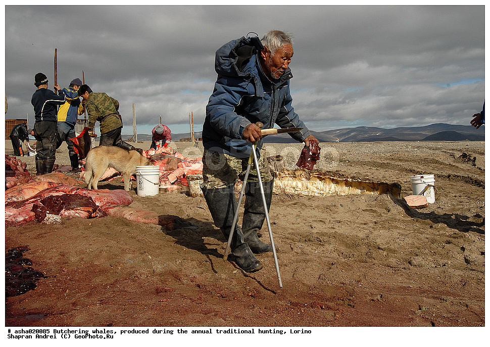 �������� , ��������� ����, ������ ������, �������, ������, ���, ���, �����, �����, ��������, ����, ��������