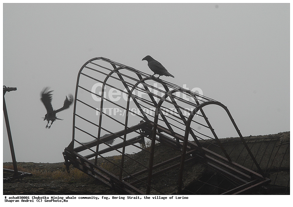 ������, ���, �������, �����, �����, �������� ������, ������