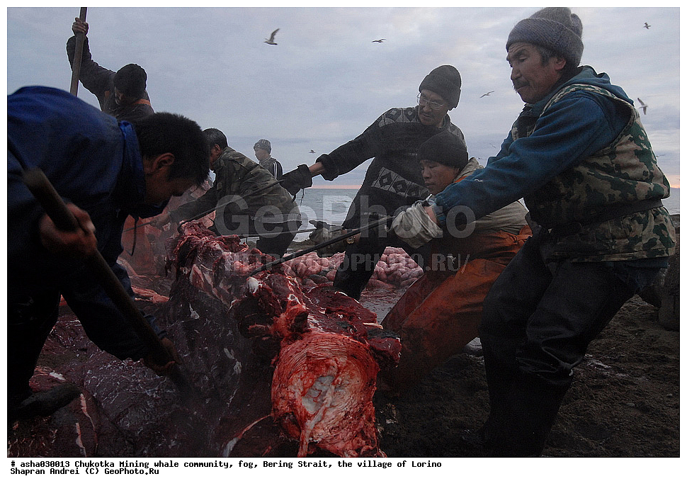 ������, ���, �������, �����, �����, �������� ������, ������