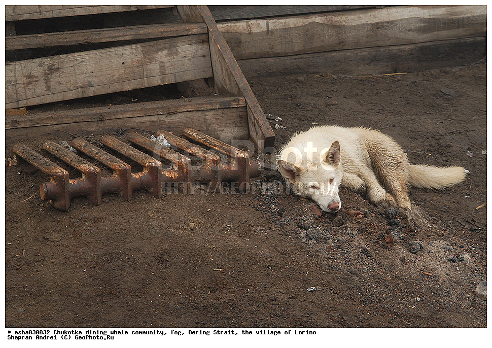 ������, ���, �������, �����, �����, �������� ������, ������