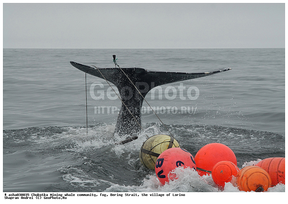 ������, ���, �������, �����, �����, �������� ������, ������