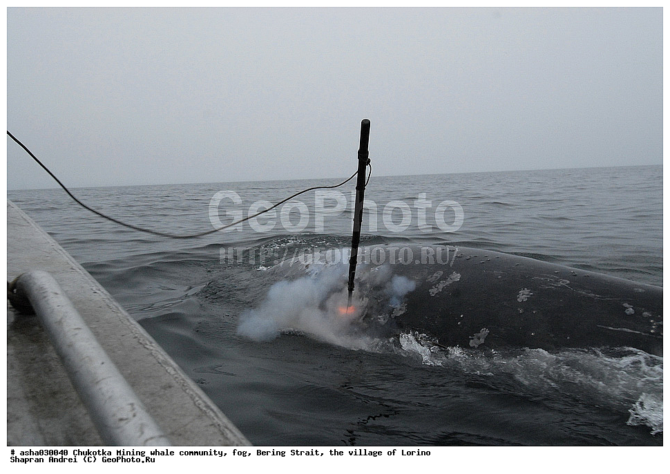 ������, ���, �������, �����, �����, �������� ������, ������