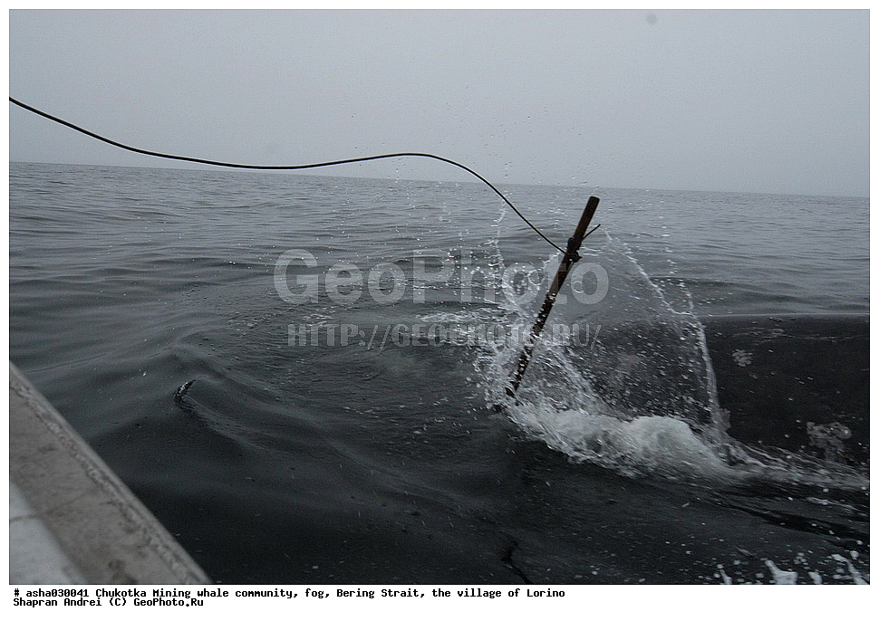 ������, ���, �������, �����, �����, �������� ������, ������