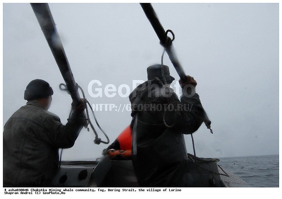 ������, ���, �������, �����, �����, �������� ������, ������