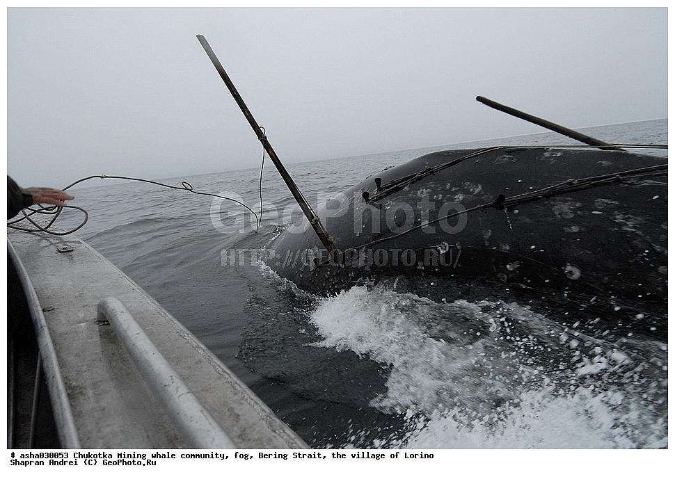 ������, ���, �������, �����, �����, �������� ������, ������