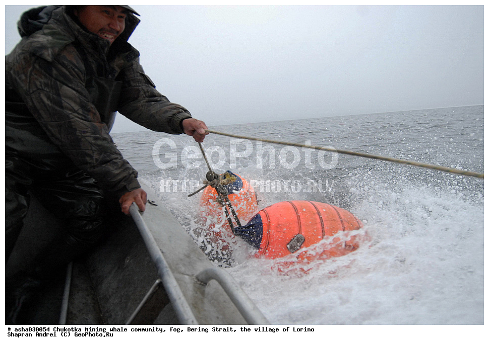 ������, ���, �������, �����, �����, �������� ������, ������