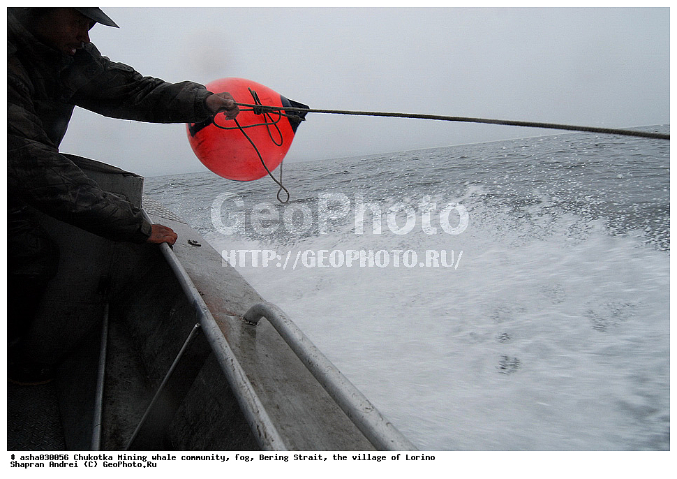 ������, ���, �������, �����, �����, �������� ������, ������