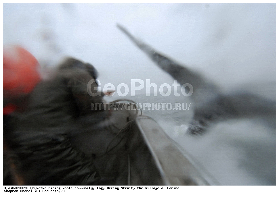 ������, ���, �������, �����, �����, �������� ������, ������