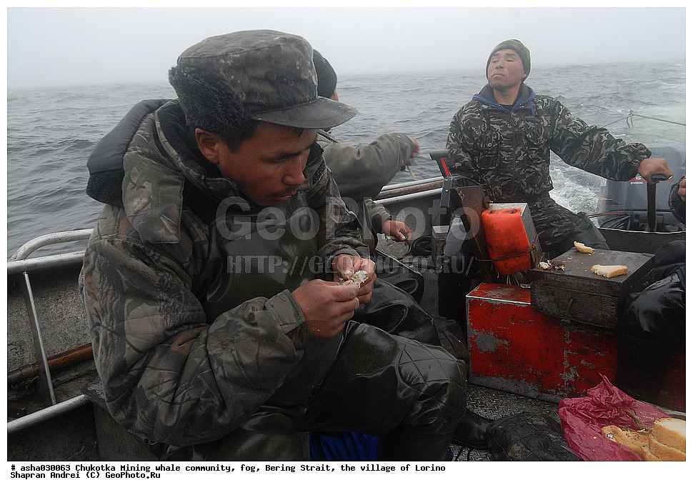 ������, ���, �������, �����, �����, �������� ������, ������