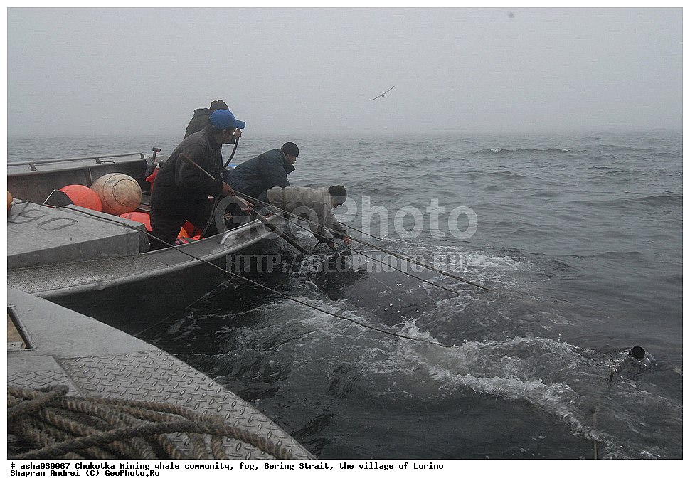 ������, ���, �������, �����, �����, �������� ������, ������