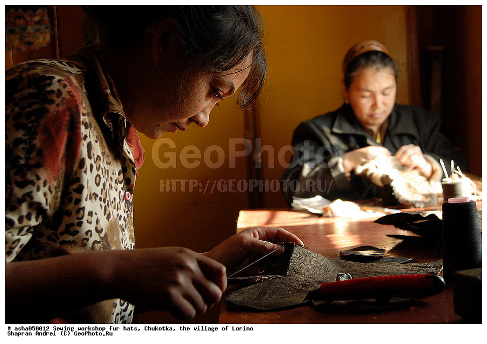 ����������, �����, �������, �����, ������, �������