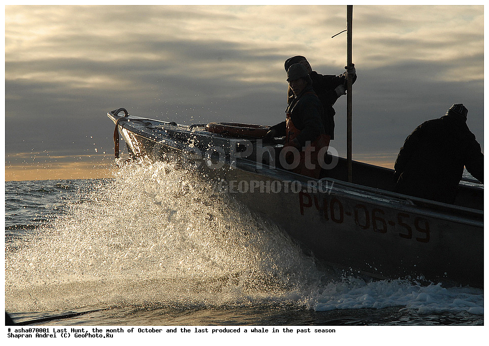 ������, ���, �������, �����, �������� ������, ������, �����, �������