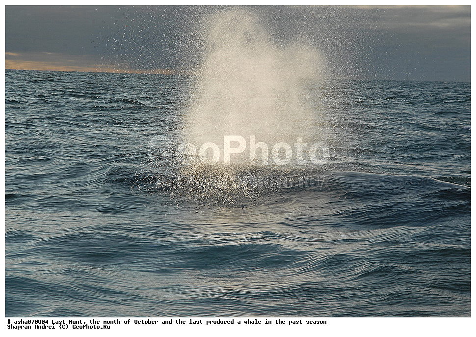 ������, ���, �������, �����, �������� ������, ������, �����, �������