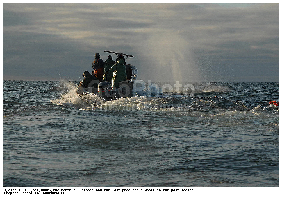 ������, ���, �������, �����, �������� ������, ������, �����, �������