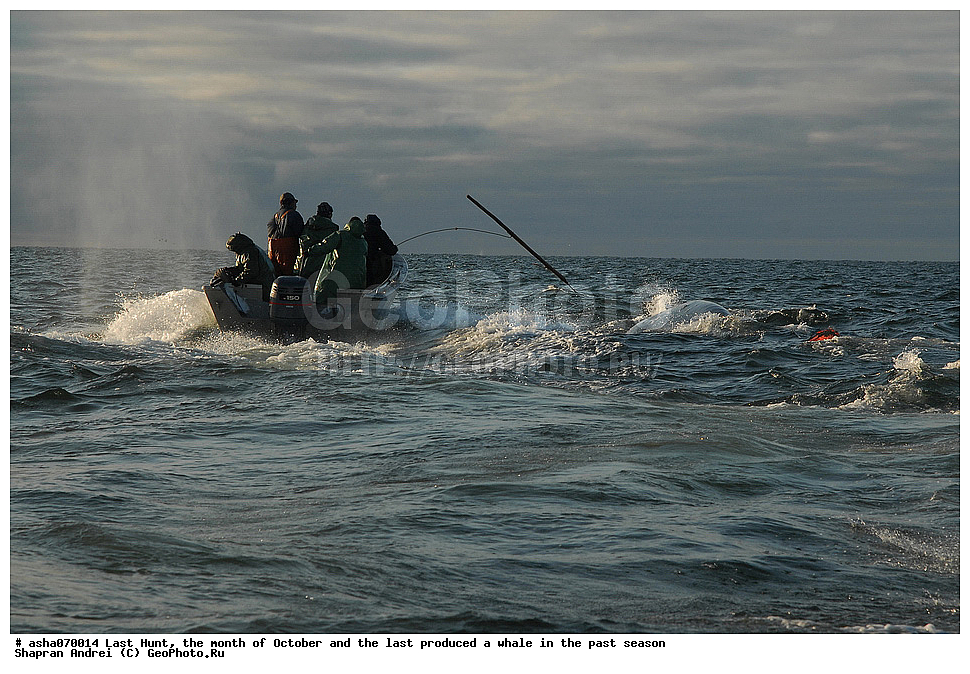 ������, ���, �������, �����, �������� ������, ������, �����, �������