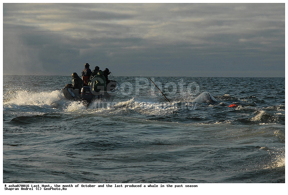 ������, ���, �������, �����, �������� ������, ������, �����, �������