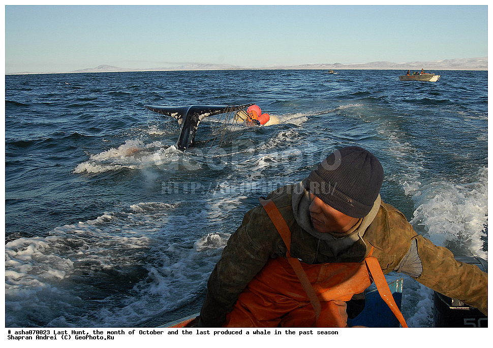 ������, ���, �������, �����, �������� ������, ������, �����, �������