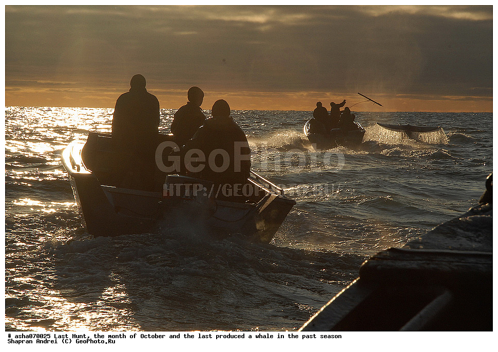 ������, ���, �������, �����, �������� ������, ������, �����, �������