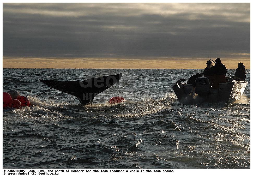 ������, ���, �������, �����, �������� ������, ������, �����, �������