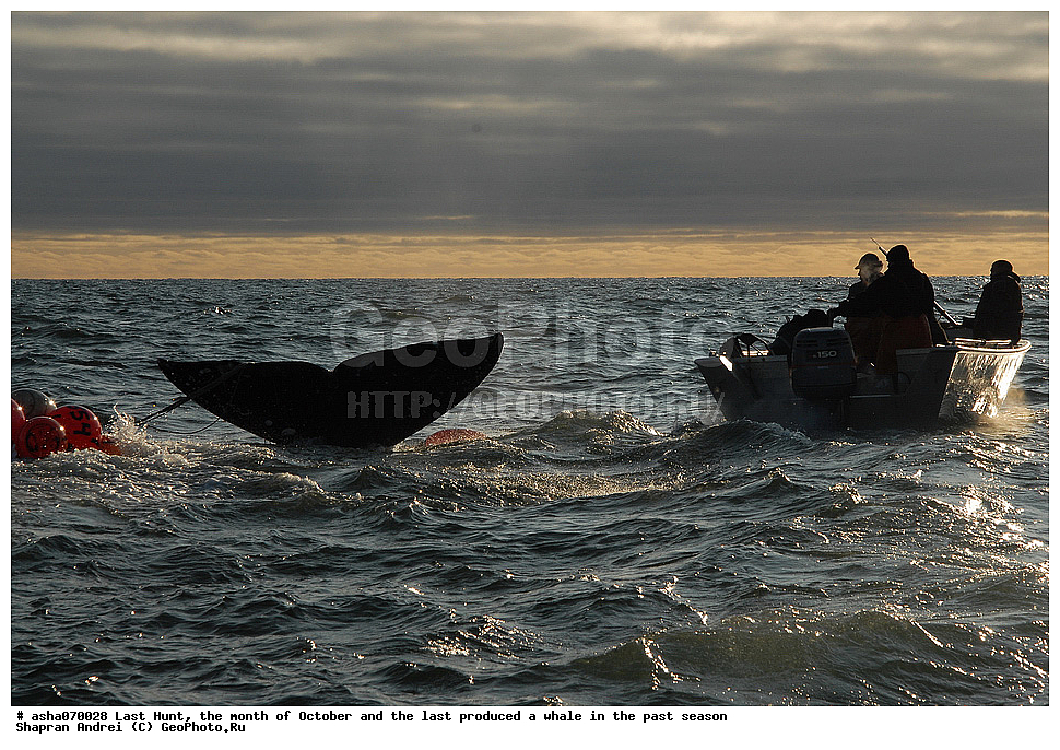 ������, ���, �������, �����, �������� ������, ������, �����, �������