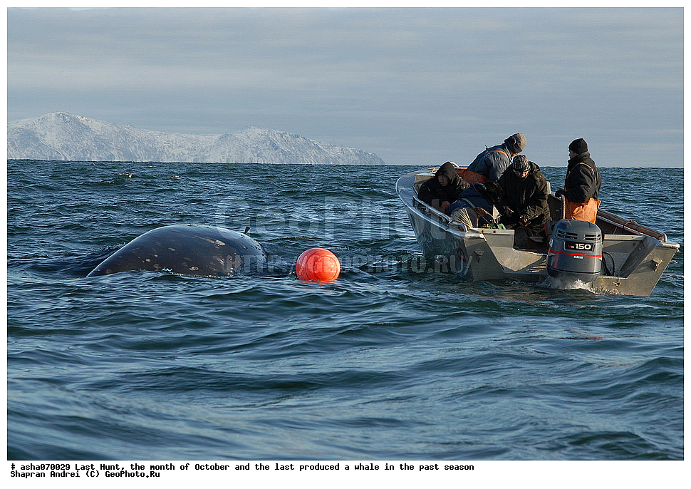 ������, ���, �������, �����, �������� ������, ������, �����, �������