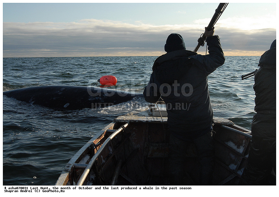 ������, ���, �������, �����, �������� ������, ������, �����, �������