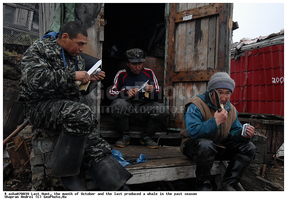 ������, ���, �������, �����, �������� ������, ������, �����, �������