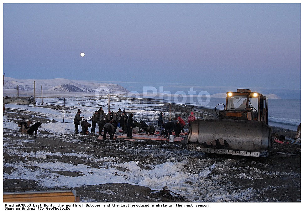 ������, ���, �������, �����, �������� ������, ������, �����, �������