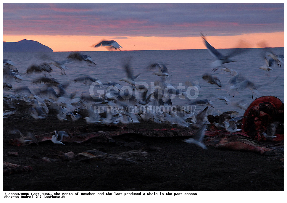 ������, ���, �������, �����, �������� ������, ������, �����, �������