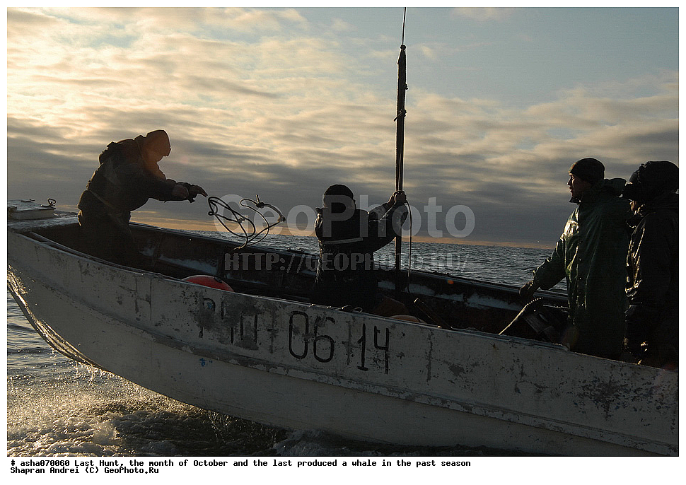 ������, ���, �������, �����, �������� ������, ������, �����, �������