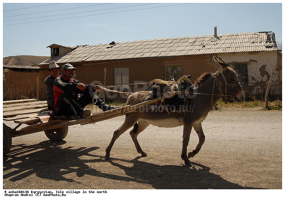 ��������, ����, �����, �������� �������