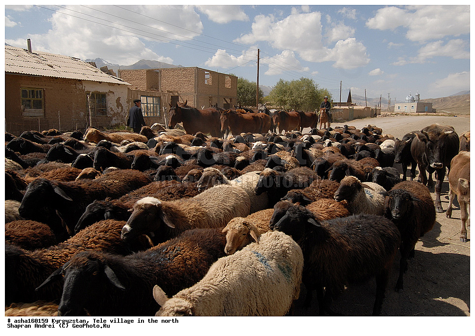 ��������, ����, �����, �������� �������