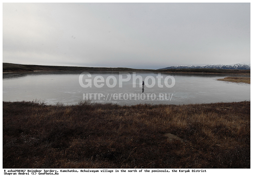 ���������, ��������, �������, ��������, ����������, ��������� �����