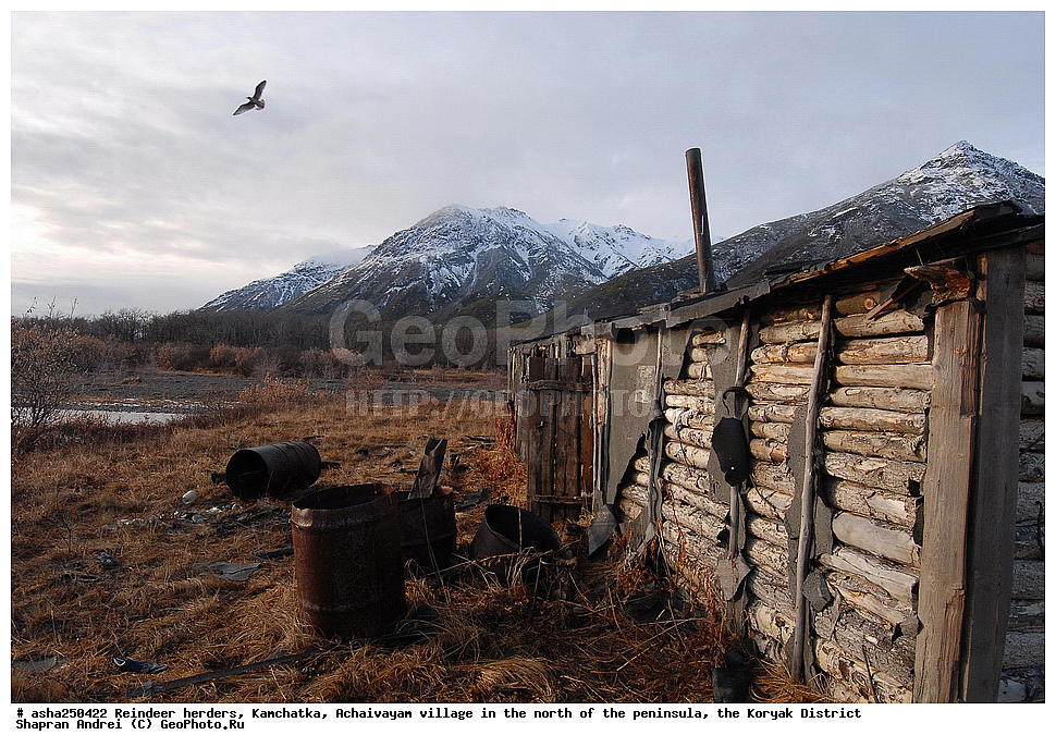 ���������, ��������, �������, ��������, ����������, ��������� �����