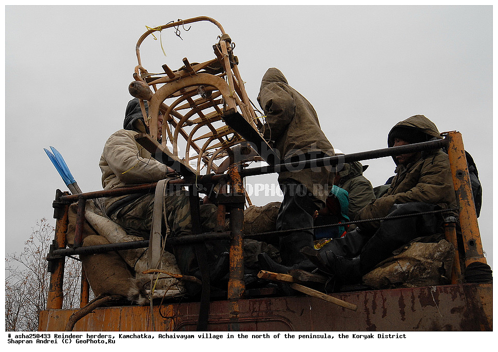 ���������, ��������, �������, ��������, ����������, ��������� �����