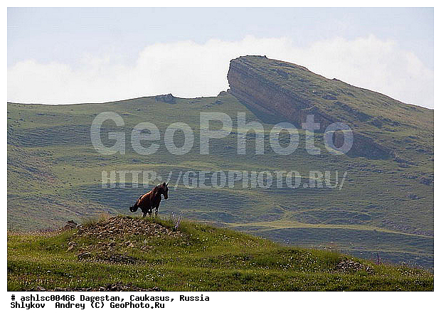 ��������, ������, ���, ����, ������, ��������, ������, �������