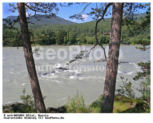 �����, ������, ����, ������, ����, �����