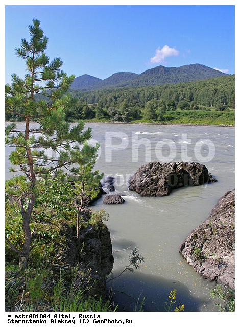 �����, ������, ����, ����, ����, ����, ������