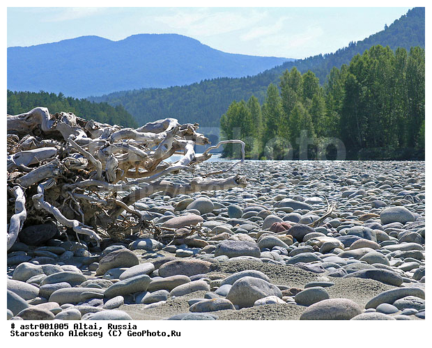 �����, ������, �����, �������, �������, �����, �����, ������, ���, ����, �����, ����